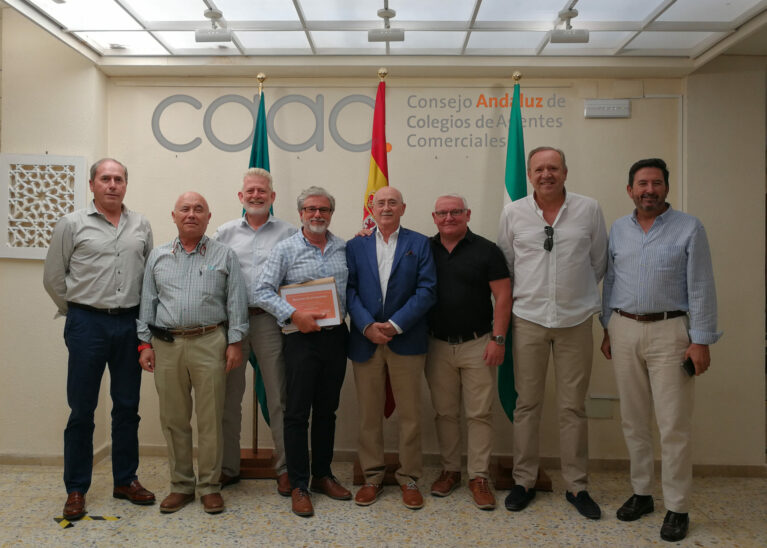 Pleno del Consejo Andaluz de Colegios de Agentes Comerciales 2022