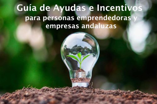 Guía de ayudas e incentivos 2024-10-28