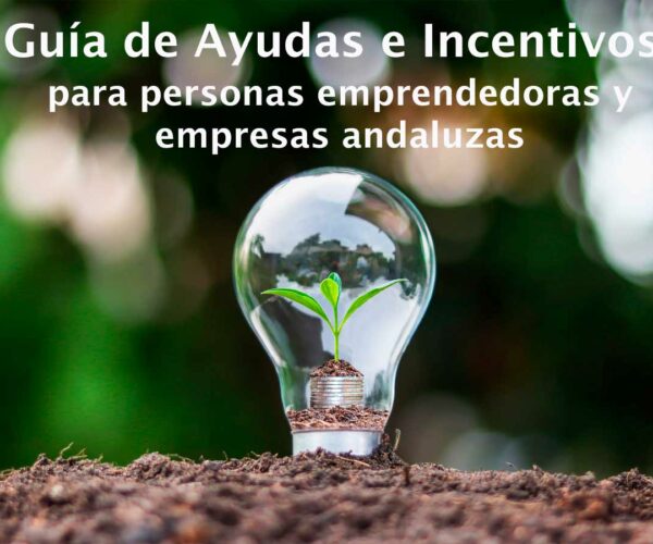 Guía de ayudas e incentivos 2024-10-28