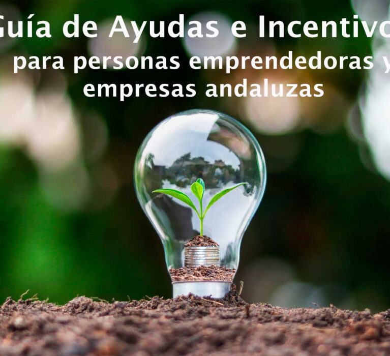 Guía de Ayudas e Incentivos para personas emprendedoras y empresas andaluzas 2023-11